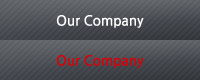 Our Company